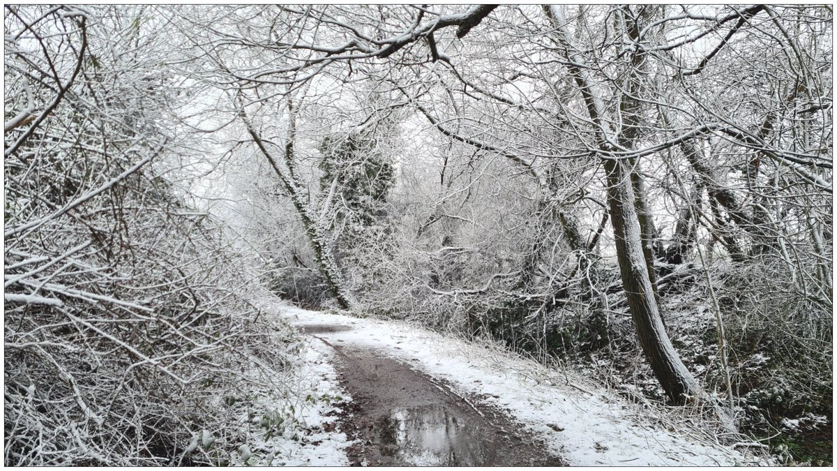 MustardTree7's tweet photo. Finally some winter! Lovely wintery scenes out this morning. #snow #wintery #naturephotography https://t.co/ga74vKiCcy