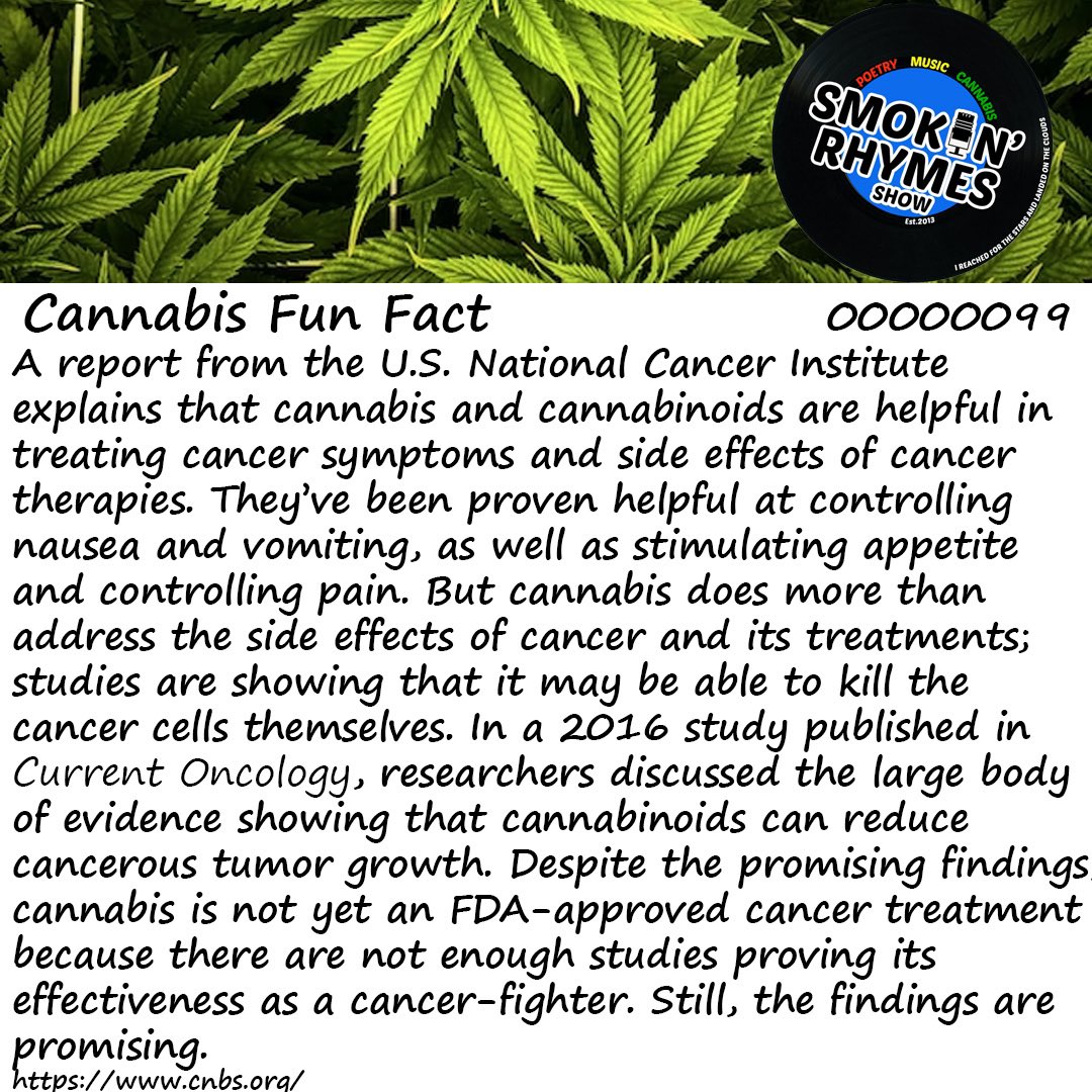 Cannabis Can Kill Cancer Cells.
#funfact #funfactfriday #cannabisfunfact #cannabisart #cannabiscommunity #cannabiseducation #cannabis #cannabismedicine #cannabisculture #cannabissociety #cannabislifestyle #cannabislover #cannabisindustry #cannabisphotography #global #aimhy