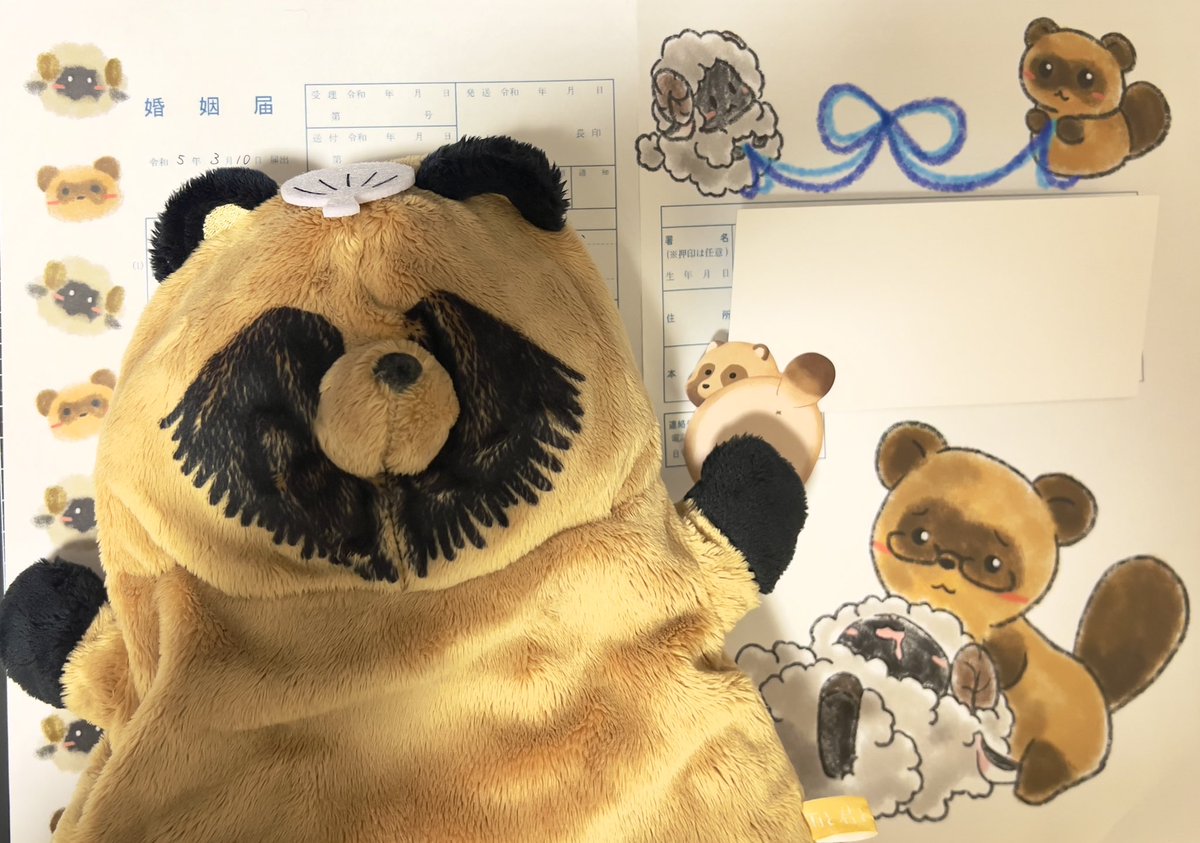 たぬきさん tweet media