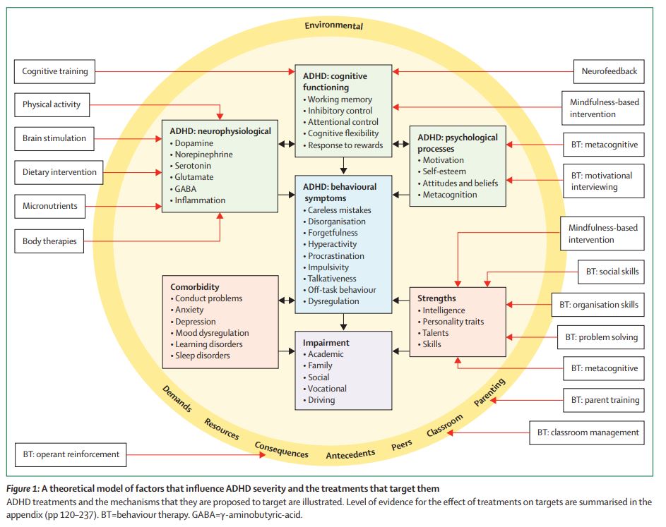LancetChildAdol's tweet photo. Increased understanding of biological, psychological, and environmental factors contributing to #ADHD has expanded non-pharmacological treatment possibilities.

New Review by Margaret Sibley &amp; colleagues evaluates these options: https://t.co/UFPhApxy4L https://t.co/iXE99Lj27K