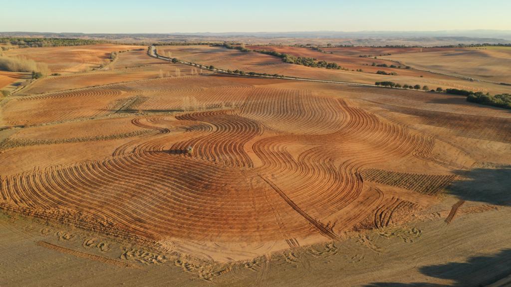 Antonio Torres (@antonio_torresb) on Twitter photo Bancos de biotipos autóctonos de vid en Ribera del Duero soriana by <a href="/vitisnavarra/">Rafa García -VITIS NAVARRA-</a> Bancos de biotipos autóctonos de vid en Ribera del Duero soriana by <a href="/vitisnavarra/">Rafa García -VITIS NAVARRA-</a>