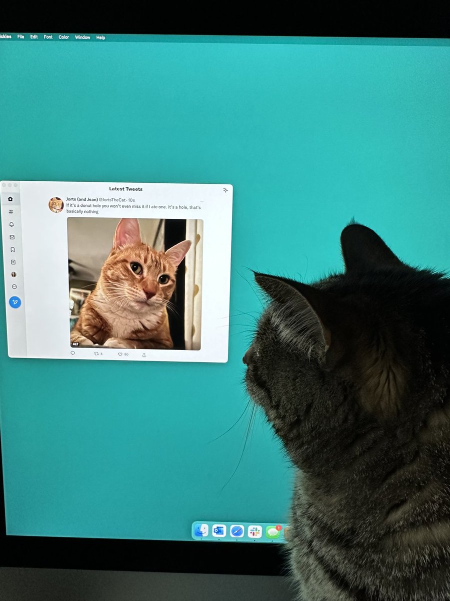 Nadyne Richmond tweet media