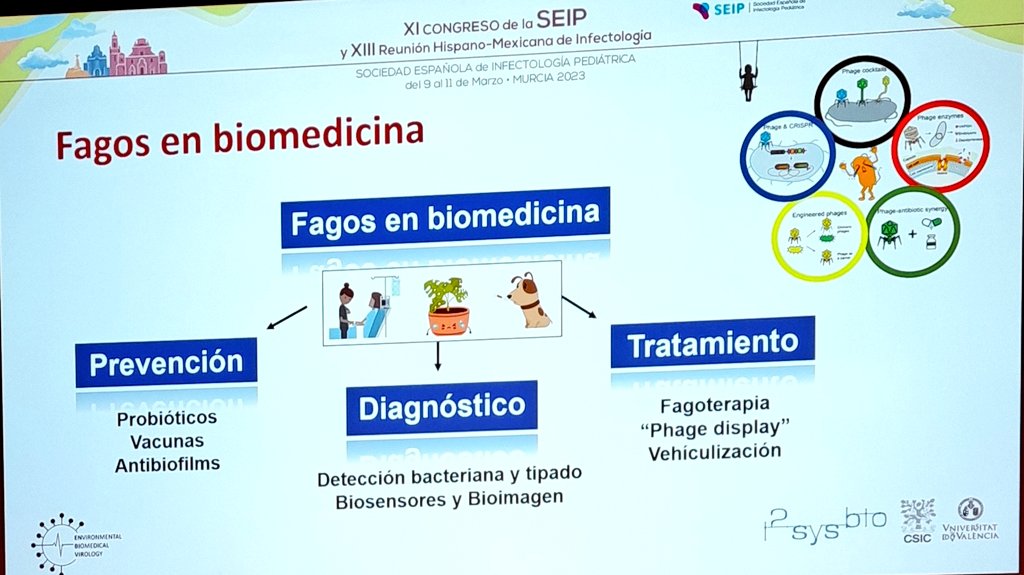 seipweb's tweet photo. #SEIP2023 #MásAllaAntimicrobianos Pilar Domingo #Fagos https://t.co/Lbnt7LpLCQ