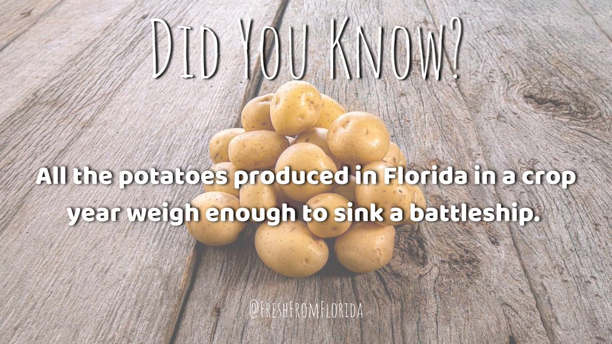 ⬇️🥔⬇️🥔⬇️🥔⬇️

#DYK from @freshfromFL: Florida potatoes are in season!

#freshfromflorida #floridaagriculture #floridafarmers #localfarmers #localproduce #eatlocal #potatoes #potatorecipes #floridapotatoes #didyoukonw