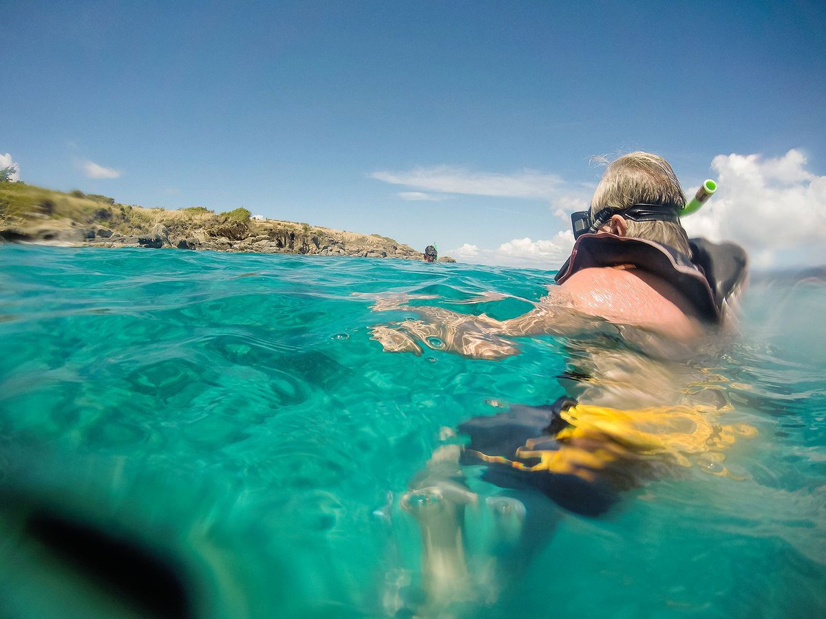 TrippsTravelNet's tweet photo. Snorkeling is so much fun. Try it on your next vacation https://t.co/KgAGobTklb