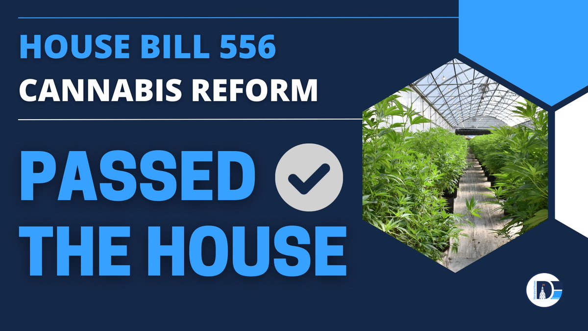 We’ve compiled the best legal cannabis practices from other states, learned lessons from medical cannabis and created an equitable implementation framework.
The House passed one of the best models for recreational cannabis in the country. Let's get it across the finish line.