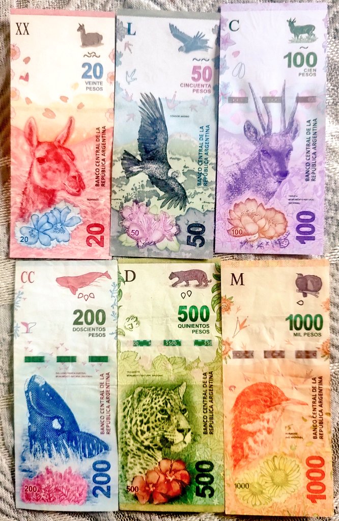 I finally completed this set of Argentinean banknotes!

#Furrynumismatics