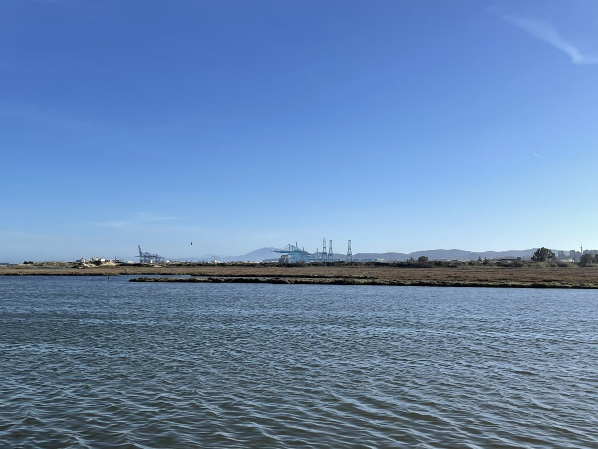 jrambaud's tweet photo. Tarde muy #templada #primaveral Rio #Palmones #LosBarrios, con vistas al puerto de #Algeciras #Rif y #Gibraltar https://t.co/ULRfGRNjCl