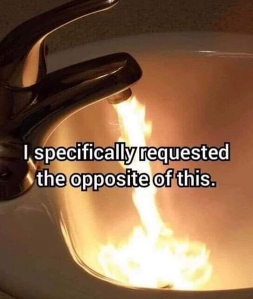 an dogeon (@imskytrash) on Twitter photo 