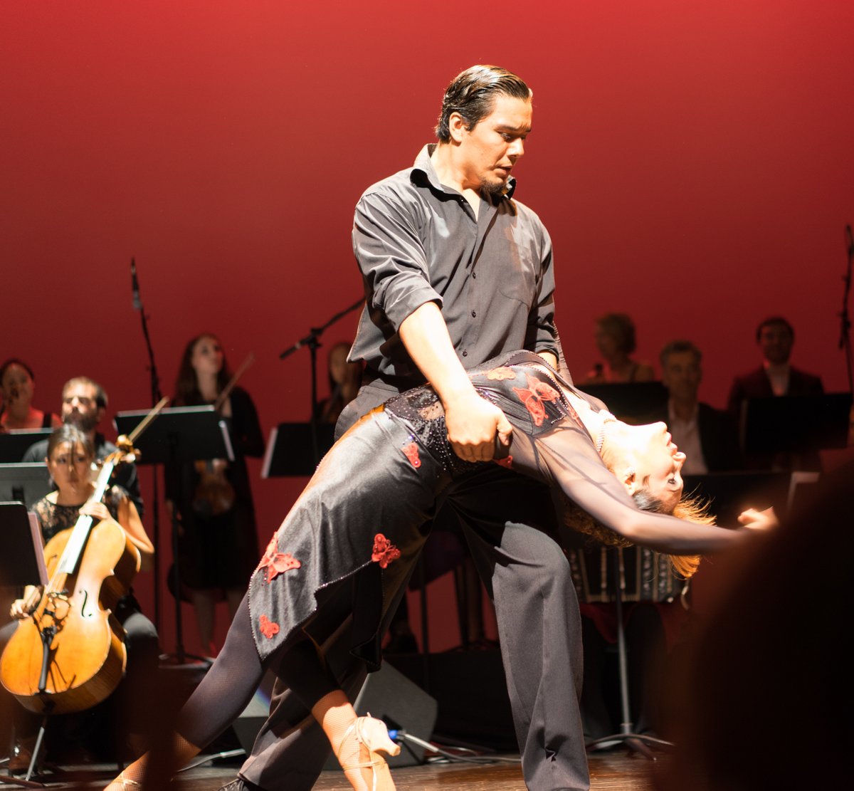 StoweTangoMusicFest (@stowetango) on Twitter photo 2023 Festival Passes Go on Sale on March 15th - stowetango.org
#stowetango #tangofest #tangoshow #tangomusic #stowevt 2023 Festival Passes Go on Sale on March 15th - stowetango.org
#stowetango #tangofest #tangoshow #tangomusic #stowevt