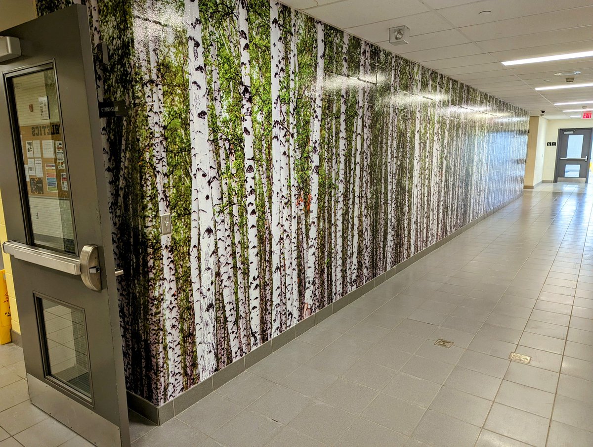Look up.... Way up! 👀
Our brand new vynl designs are finally finished. Also, our new flags represent Indigenous roots, environmental stewardship and our commitment to lifelong learning and growth. These go well with our new multilingual welcome wall and wellness forest design.