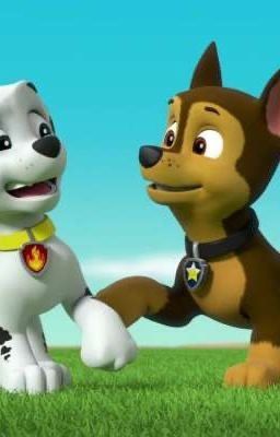 ChasePupFan1's tweet photo. Sorry Marshall but you're caught #PAWPatrol #DailyShasePics #Shase #DailyShase https://t.co/LnarpxsFqm