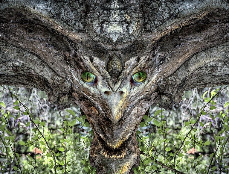 Without Woodies, life itself would be impossible.
tinyurl.com/3d6hsmzr
#TGIF
#FridayFeeling