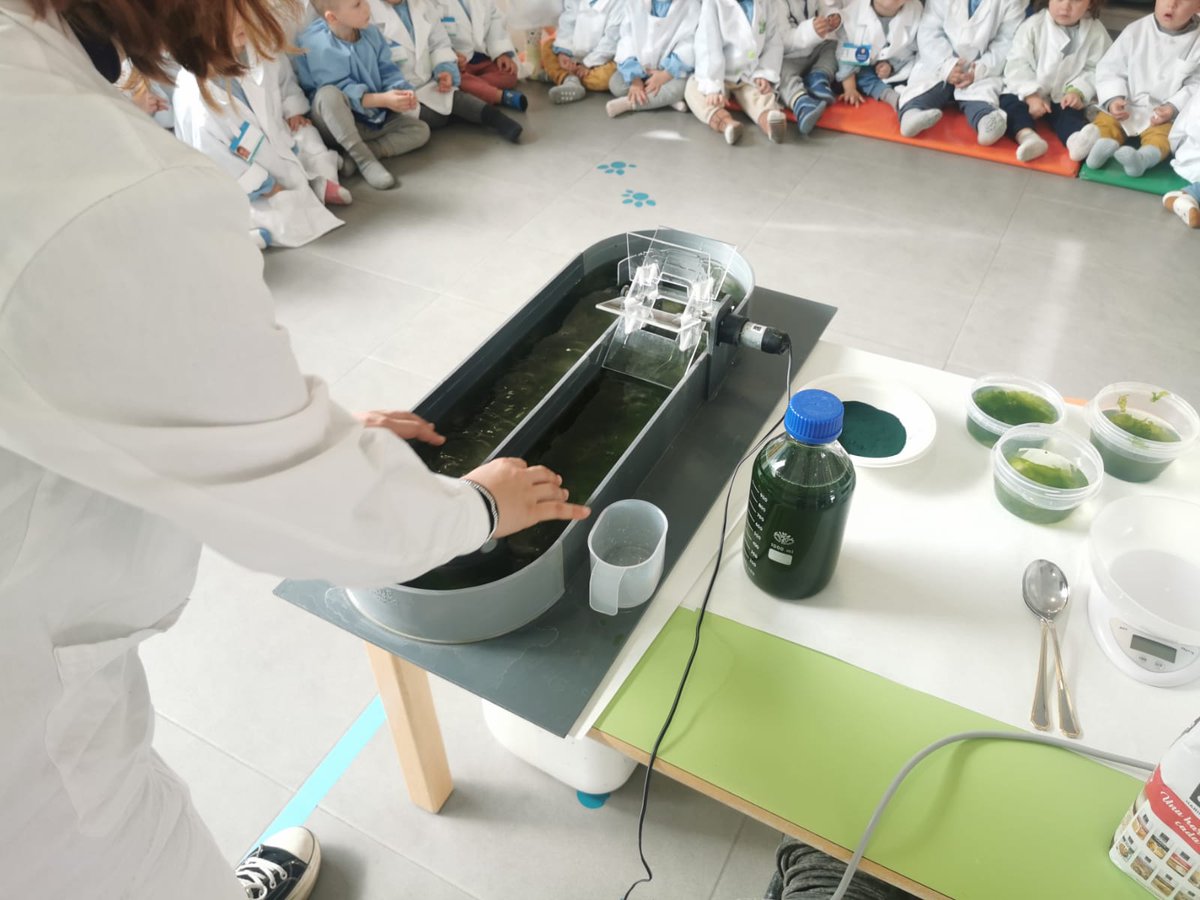 Marian CS tweet media