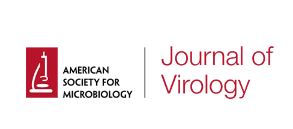 Critical analysis of the evidence for the SARS-CoV-2 origin hypotheses: a new OA editorial that summarizes the scientific evidence that informs the debate. Co-published in <a href="/ASMicrobiology/">ASM</a> journals, <a href="/JVirology/">JVirology Editors</a>, <a href="/mSphereJ/">mSphere</a>, and <a href="/mbiojournal/">mBio</a>. doi.org/10.1128/jvi.00…