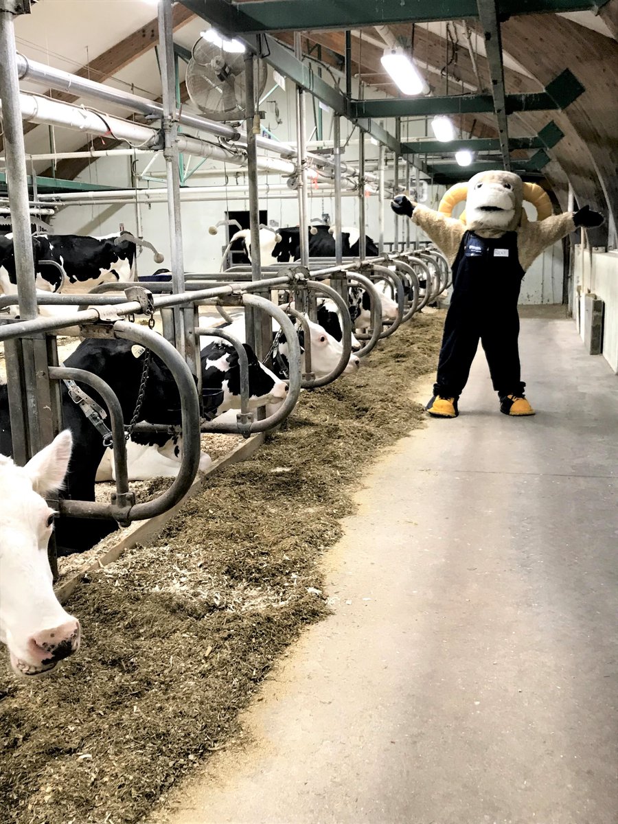 Dal Ag Campus tweet media