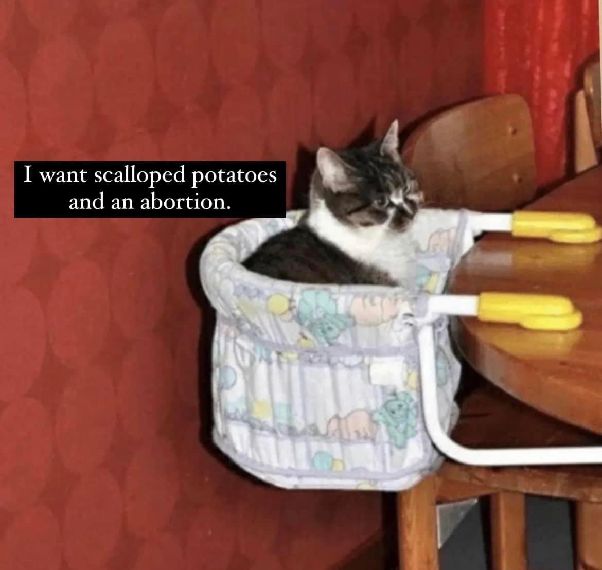 Feminist Flag Corps tweet media