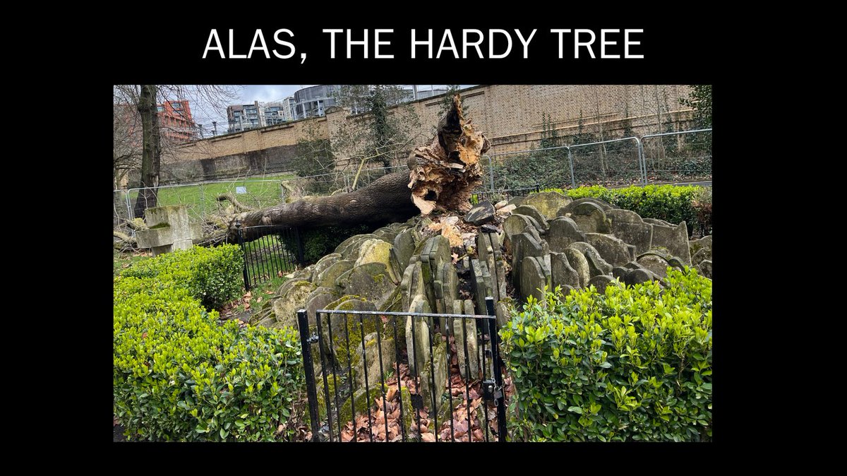 Alas, one of London’s most ghoulish literary landmarks has fallen. These ancient headstones have nestled among the roots of the tree planted by novelist Thomas Hardy since 1865. Legend says that one of them is that of Dr John Polidori, author of The Vampyre.
#Hauntings #Horror