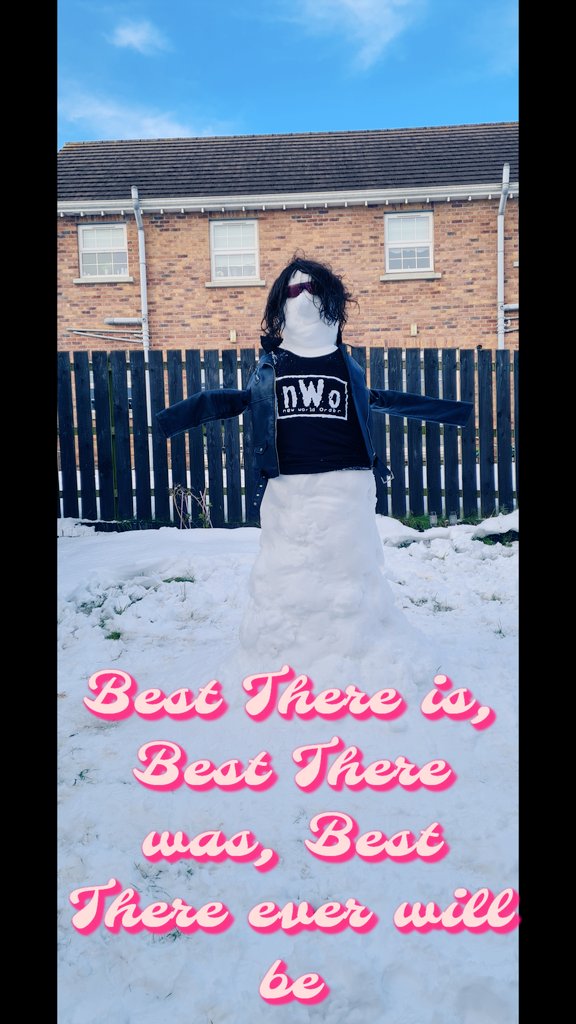 Snow World Order <a href="/BretHart/">Bret Hart</a> #NWO #wcw