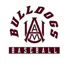 Blount Baseball tweet media