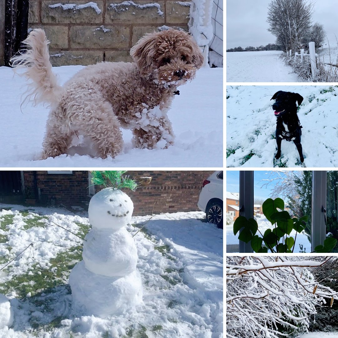 ICS-translate (@icstranslate) on Twitter photo There is an old saying that goes, "To appreciate the beauty of a snowflake, it is necessary to stand out in the cold." ❄️
Never thought that meant in the middle of March, though!
Here's a look at some of the <a href="/ICStranslate/">ICS-translate</a> team (and friends) making the most of the snow in Leeds. There is an old saying that goes, "To appreciate the beauty of a snowflake, it is necessary to stand out in the cold." ❄️
Never thought that meant in the middle of March, though!
Here's a look at some of the <a href="/ICStranslate/">ICS-translate</a> team (and friends) making the most of the snow in Leeds.