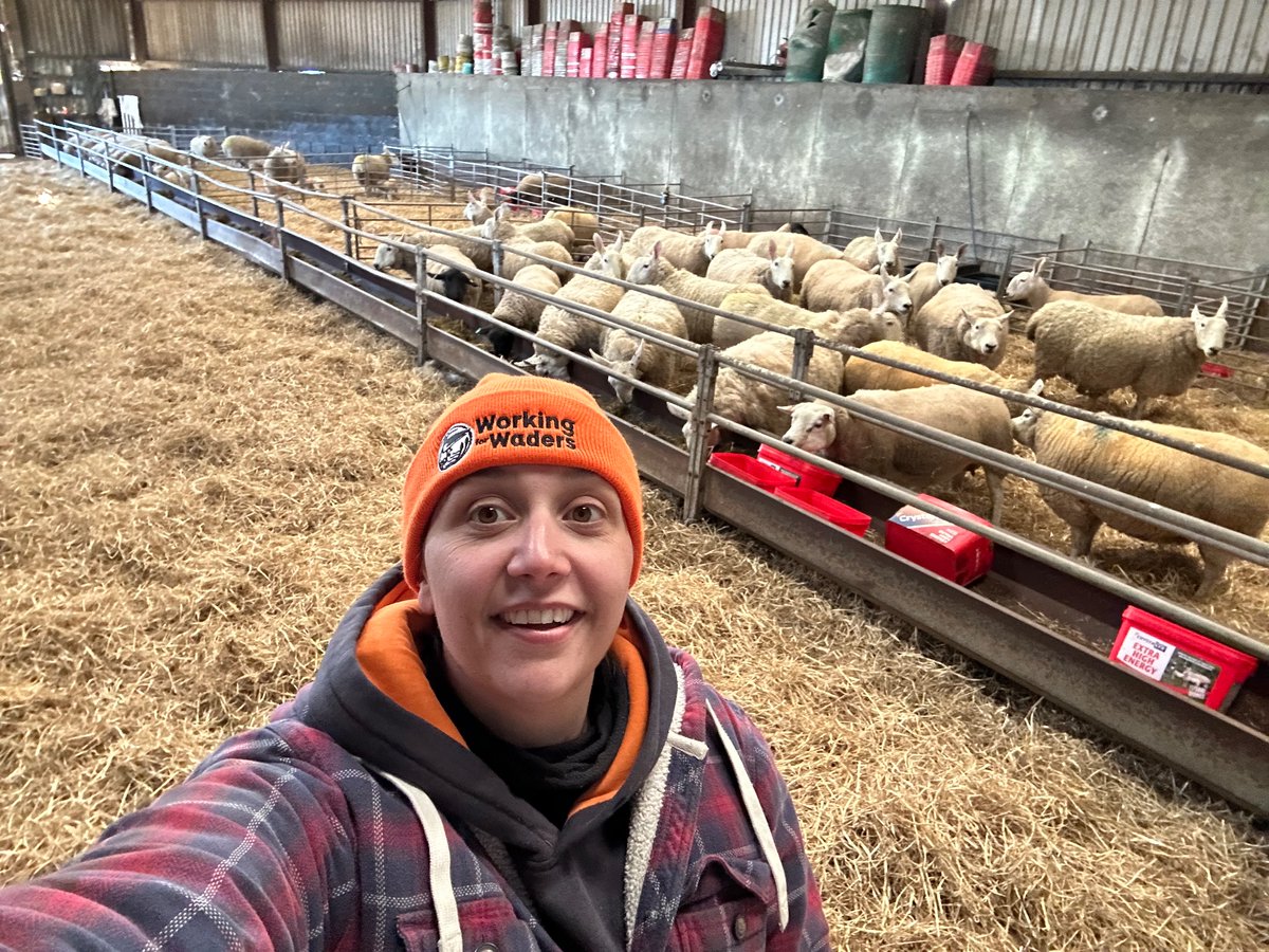 From working for waders to working with sheep…. It’s been a good day! Cheers for the hat <a href="/Gallowaygrouse/">Patrick Laurie</a> 😜😜😜