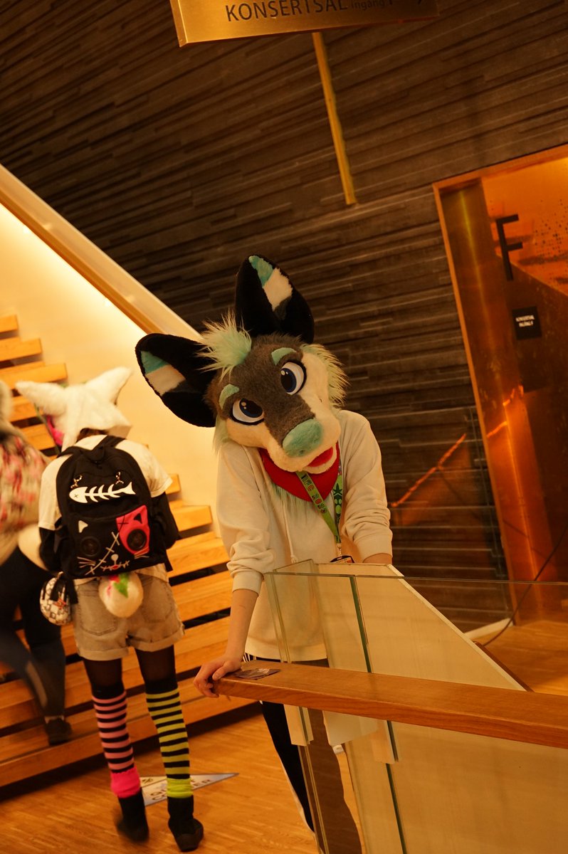 📸 @MiloFloofi 📸 @NexoRexo #FursuitFriday #nfc23