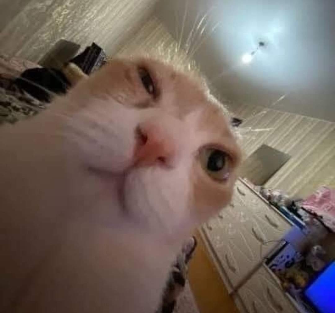"Ya we, no te estreses"

Yo: