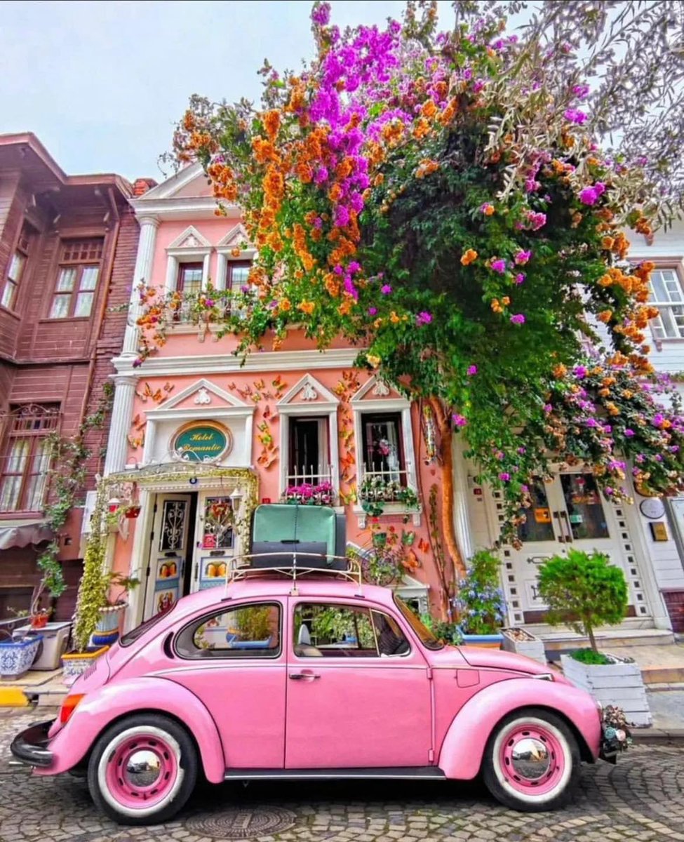 Have a beautiful weekend! 💜🧡