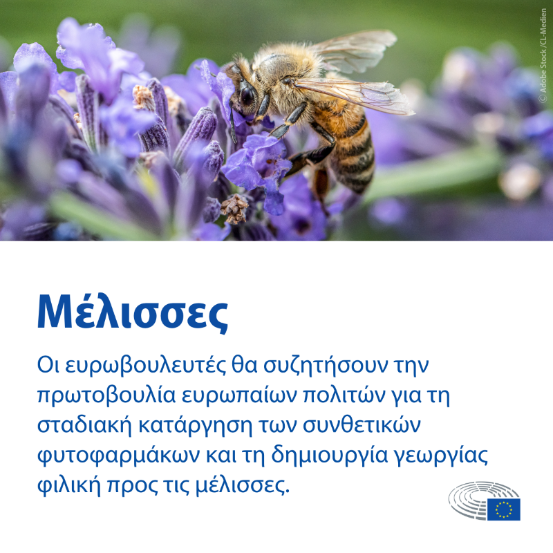 Europarl_EL's tweet photo. 🔜Προσεχώς στην Ολομέλεια του Ευρωπαϊκού Κοινοβουλίου, 13-16 Μαρτίου ↓