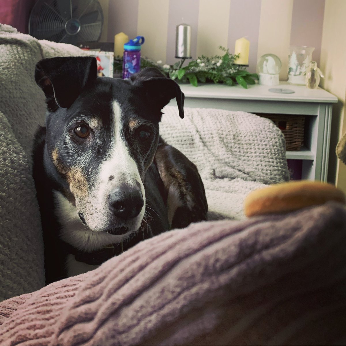 Paul Lambert 🇪🇺 tweet media