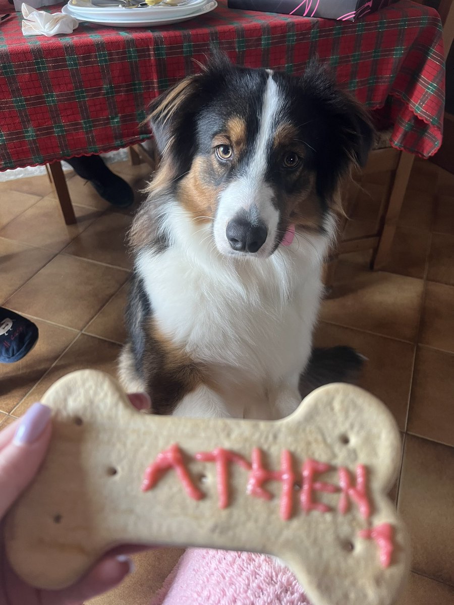 JadeOnePunch tweet media