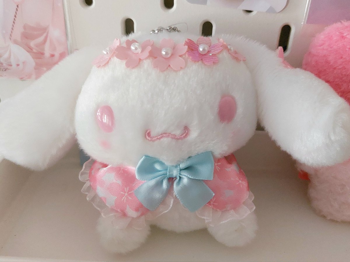 pkvxrw's tweet photo. ꒰ ⁺ ชมพูชมใจมากๆเลยคั้บ ➵ #lolypolyreview 🧁꙳˚ ⋆ https://t.co/xCi7dwiCtA