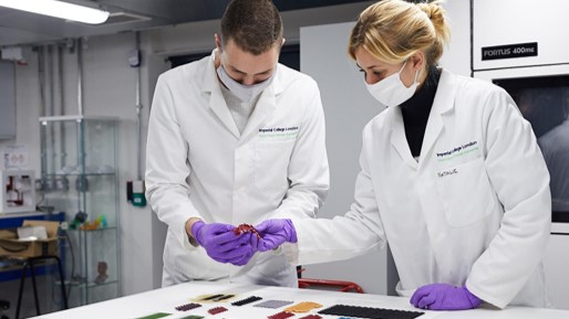 British Science Week tweet media