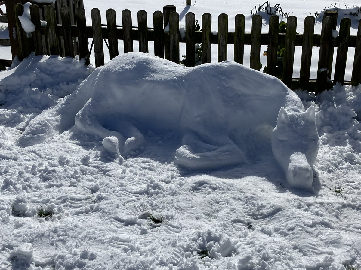 Snowed in 🤷‍♀️ been busy 😂 the most low maintenance member of my herd