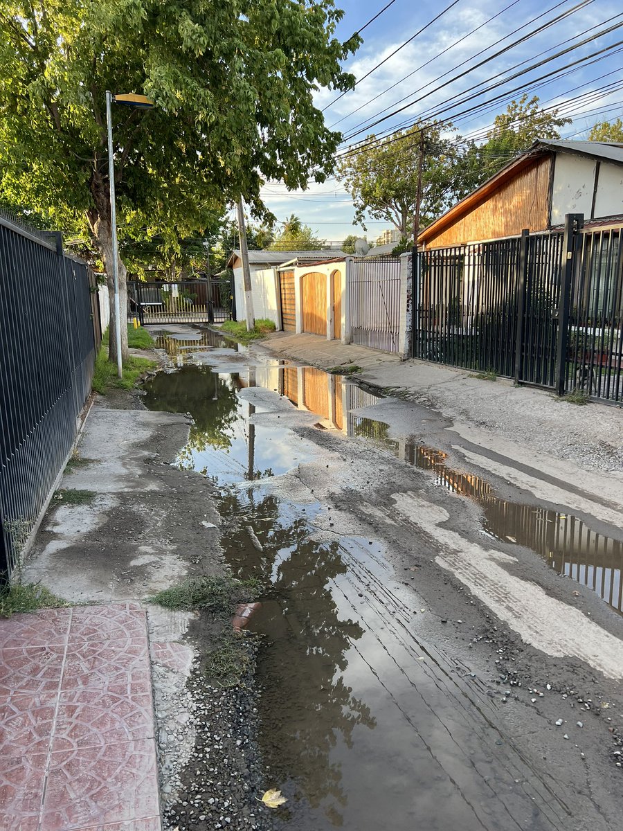 <a href="/SMAPA_MAIPU/">SMAPA</a> <a href="/Muni_Maipu/">Municipalidad de Maipú</a> <a href="/Reclamos_SMAPA/">reclamos_SMAPA</a> +de 6 meses con los adultos mayores viviendo en estas condiciones. <a href="/TomasVodanovic/">Tomás Vodanovic</a>