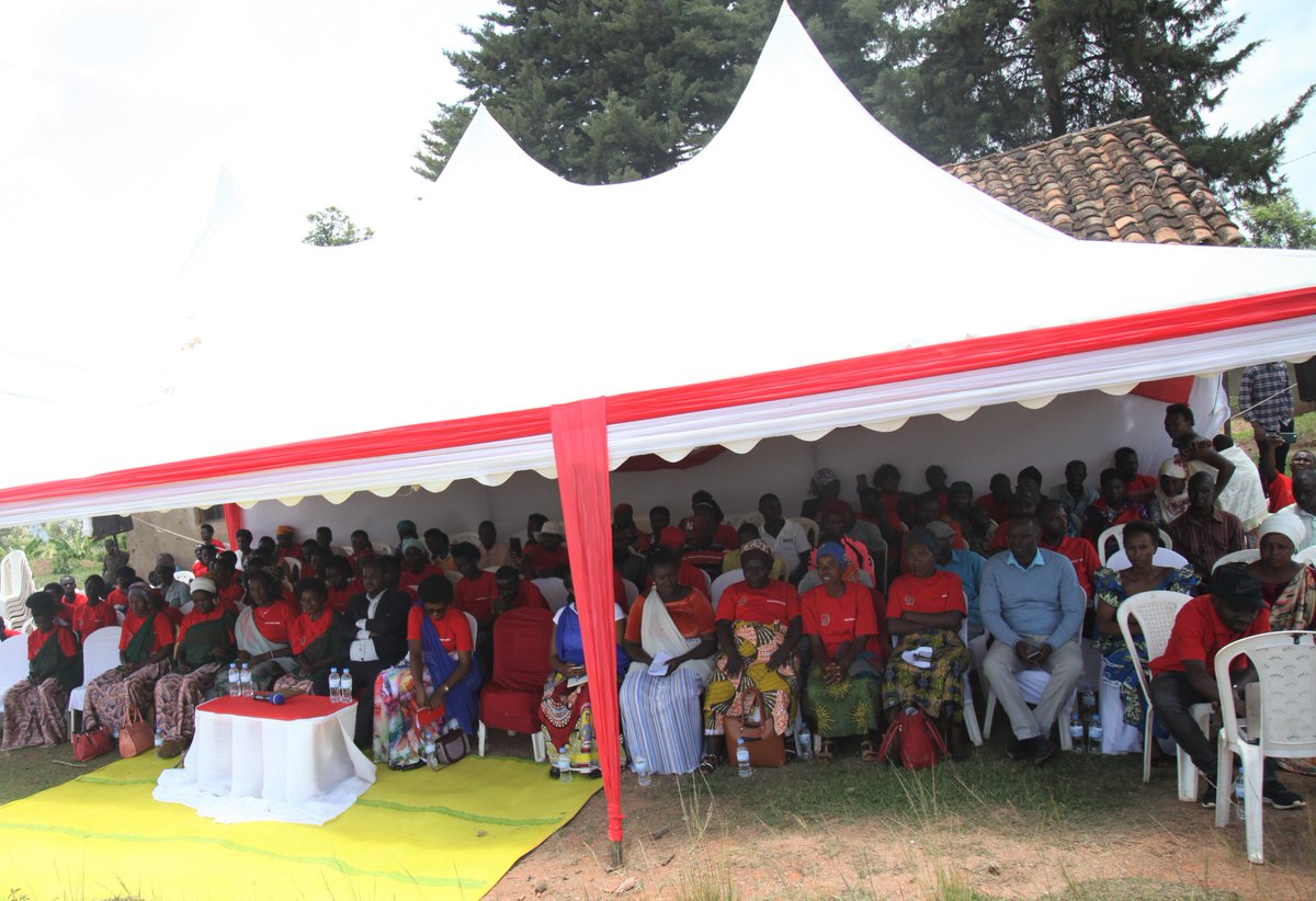 actionaidrwanda's tweet photo. A look at AAR celebrating IWD2023 in LRPs - ActionAid Rwanda participated in the celebrations of IWD2023 in Gisagara to recognize the incredible contributions of women to the well-being of their families, communities and our country at large. https://t.co/8KrjlV2wtN