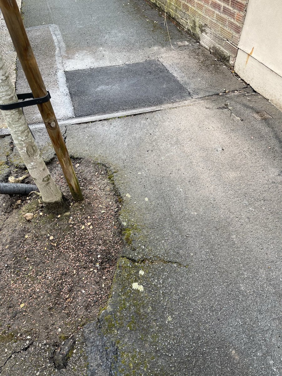 Lee8866's tweet photo. Unbelievable, I’ve just watched a @WatfordCouncil workman dig up a perfectly good piece of tarmac then fill it back in (within15mins) when the tarmac under the tree is obvs needing repair! Just trying to spend up budgets in March???🫣 #moneywasting #publicspending https://t.co/ZtZEYrggLU