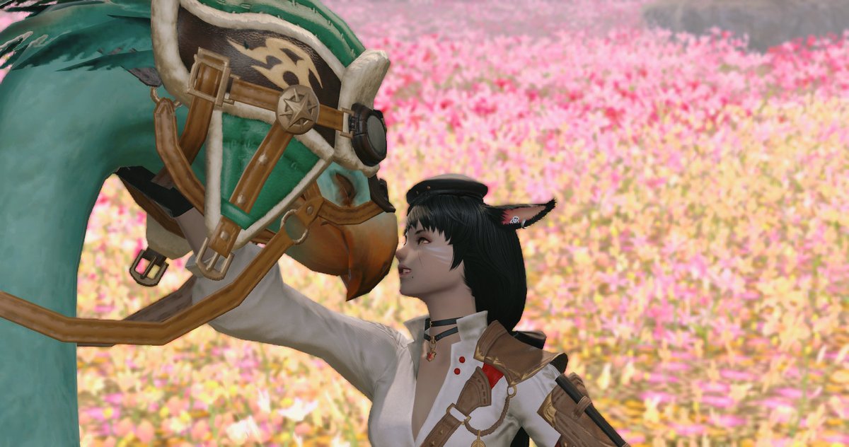 코크나무 tweet media