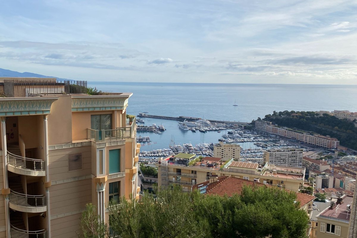 AFIMMonaco98's tweet photo. LOWER RENTAL PRICE! 

In a luxury residence with a wooded park, a swimming pool and tennis courts, we have a 3-room apartment of 117 sqm available for rent.

New monthly rent: € 7,500 + utilities

Contact us:☎️+377 97 97 87 87

#montecarlo #monaco #realestate #luxury #monacolife https://t.co/EyLoLdbMfJ
