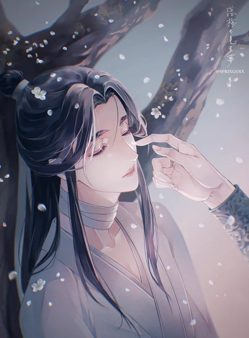 #TGCF #HuaLian #花怜 落梅の見る夢Falling plum blossoms dreams 