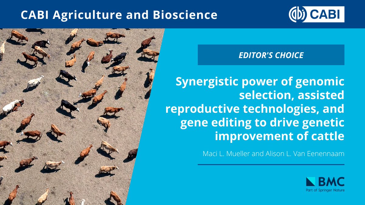 CABI_Research's tweet photo. ⭐ Introducing CABI Agriculture and Bioscience's editor's choice! ⭐

This article looks at the genetic improvement of cattle, which is an important driver of animal agriculture sustainability.

Written by @BioBeef &amp; @Maci_Mueller.

👉 Read the article: https://t.co/7JTxGsOQS1 https://t.co/BvRKIK9xwq