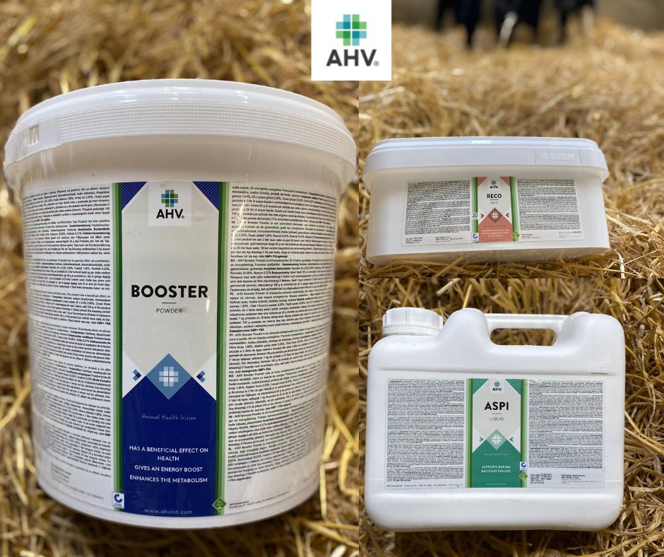 𝗔𝗥𝗘 𝗬𝗢𝗨𝗥 𝗖𝗔𝗟𝗩𝗘𝗦 𝗘𝗫𝗣𝗘𝗥𝗜𝗘𝗡𝗖𝗜𝗡𝗚 𝗗𝗜𝗚𝗘𝗦𝗧𝗜𝗩𝗘 𝗨𝗣𝗦𝗘𝗧𝗦? 
 
𝗔𝗛𝗩 𝗥𝗲𝗰𝗼 𝗣𝗮𝘀𝘁𝗲 supports the immune system &amp; has a beneficial effect on gut health. It has been developed to support the intestinal health of the calf!

▶ ahvint.com/en/find-your-a…