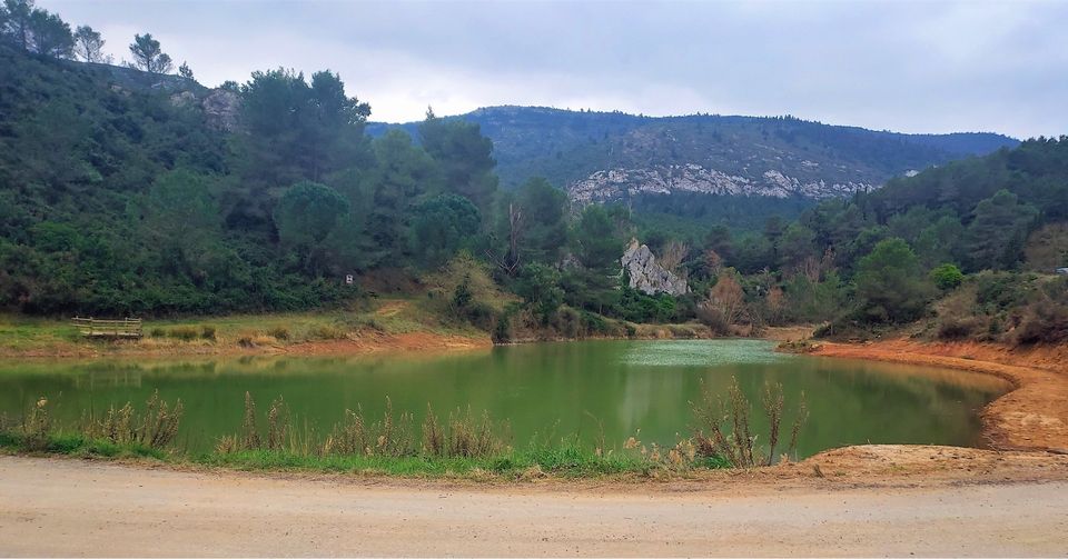 Carcassonnais's tweet photo. 😎Un lac peu connu du côté de Barbaira, au pied du Massif de l'Alaric 
Pour en savoir plus sur les randos (et leur balisage) , 
suivez l'actualité du Club pédestre Marseillette 🥾
#randonnées #randonner #balade #lac #Alaric #Barbaira #aude #occitanie #carcassonne https://t.co/950Gcop3bB