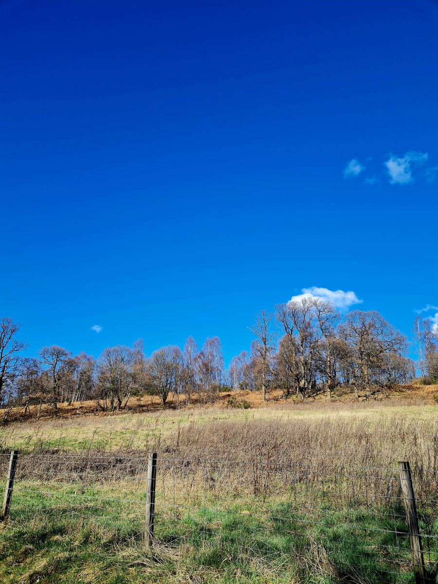 Skyloverkez's tweet photo. Beaut of a day! ๐
#NoSnowHere
#LunchTimeWalks https://t.co/IUAfuaT7e4