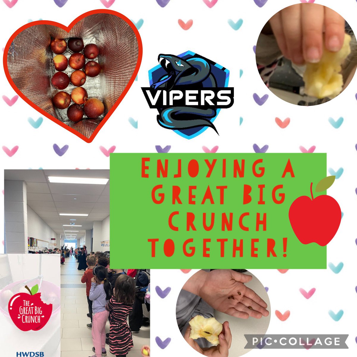 📣Students enjoyed a GREAT BIG 🍎CRUNCH together <a href="/ViolaD_HWDSB/">Viola Desmond Elementary School</a>. 👏🏼Thank you <a href="/DrummondFarms/">Drummond Farms</a> <a href="/FirstOntarioCU/">FirstOntario Credit Union</a> in supporting this event! 😍Thank you <a href="/TastebudsSNC/">Tastebuds Hamilton</a> and <a href="/ViolaD_HWDSB/">Viola Desmond Elementary School</a> volunteers who provide the students with healthy snacks daily! ⭐️Student nutrition is important <a href="/HWDSB/">HWDSB</a>
