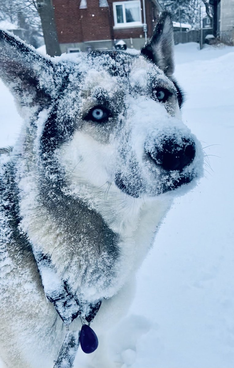 It’s my birthday 🎂