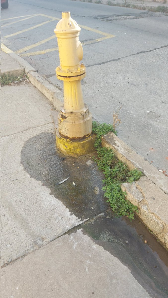 jime3115's tweet image. @esval_chile @MunicipioVina @radio_festival @CBVM132 este grifo lleva días filtrando. Está ubicado en Calle 18 de Septiembre en #Recreo, Viña. Media cuadra más arriba de calle #amunategui a quién corresponde la reparación?