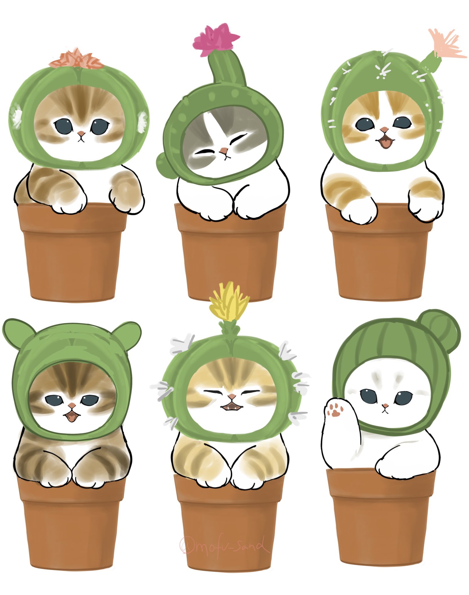 ぢゅの🐈 on X: 