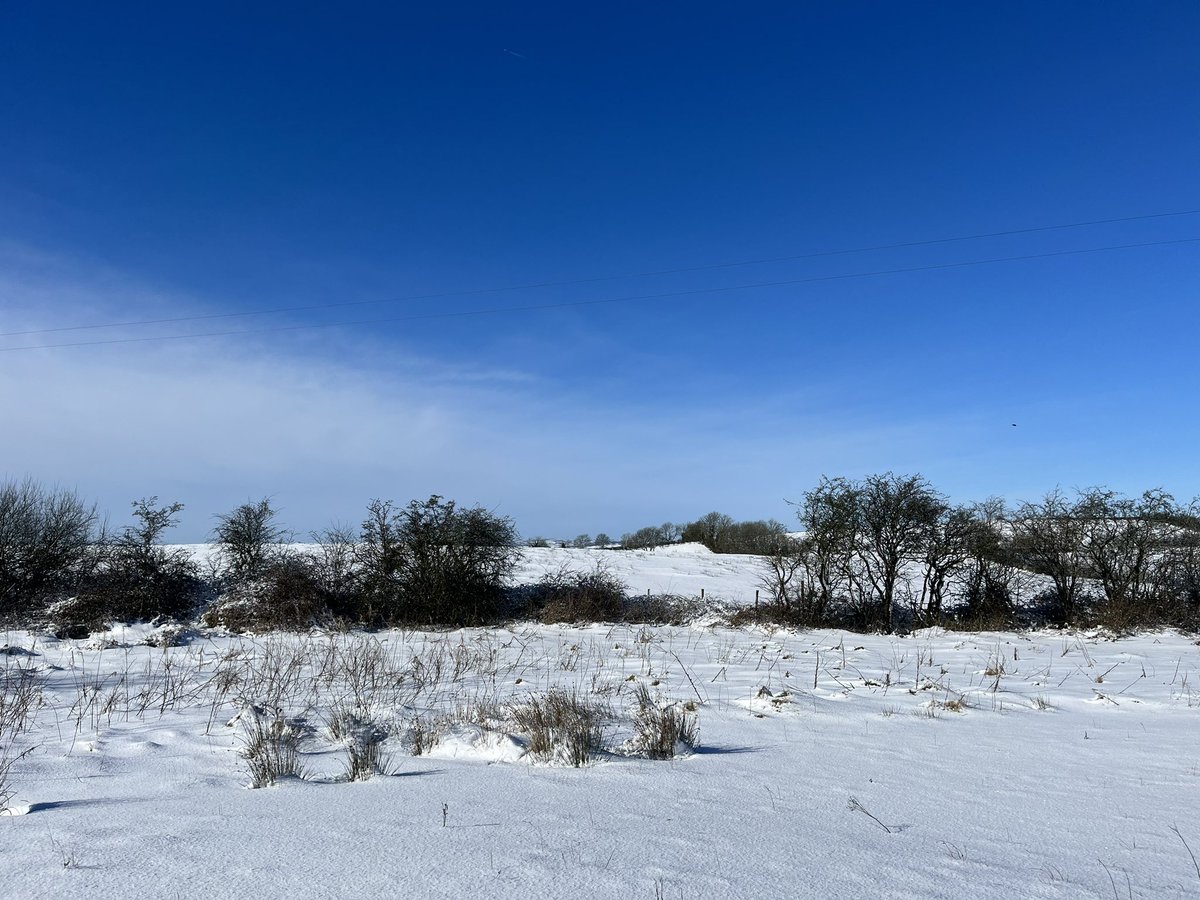 Claclee's tweet image. Snowy perfection 😍🌨️❄️☃️ at Dorsey, Co Armagh
@barrabest @angie_weather @bbcniweather @WeatherCee